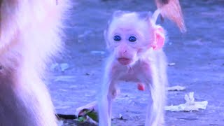 Discover The Magical Adventures In The Cutie Baby Parkers New World Fun Awaits