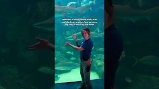 Raise your hand if were not alone 🙋‍♀️ Sharks = 💙