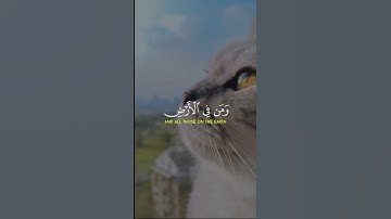 تلاوة هادئة تريح الأعصاب😴🎧 | القاريء ماهر المعيقلي - سورة الحج ✨🌥️" #القرآن #القرآن_الكريم #islam