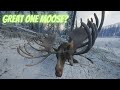 Hunter call of the wild   the great one moose