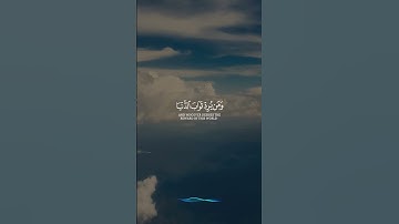 وَمَا كَانَ لِنَفۡسٍ أَن تَمُوتَ🌿سُورَةُ آلِ عِمۡرَانَ🌿 حالات واتس اب قران🌿 القارئ #صالح_الانصاري 🌿