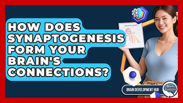 How Does Synaptogenesis Form Your Brain