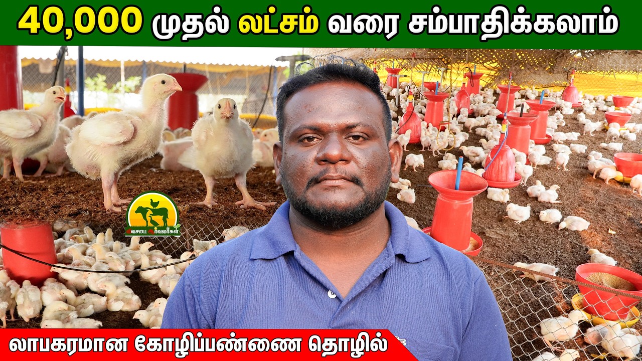 கோழிப்பண்ணை ரியல் அனுபவம் – எப்படி லாபம் வந்தது? @விவசாய ஆர்வலர்கள் Vivasaya Arvalargal #polutry #farming