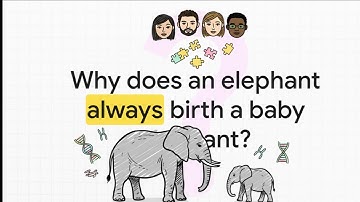 Principles of Inheritance & Variation | Class 12 & NEET | Full NCERT Overview