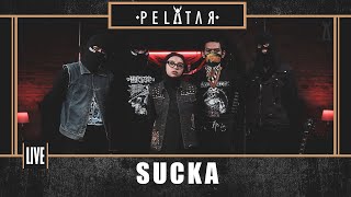 Sucka Pelatar Live