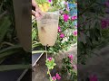 Banana Peel Fertilizer Hack 🍌 | पौधों में फूल और ग्रोथ डबल | 24 घंटे में तैयार ऑर्गेनिक खाद तैयार