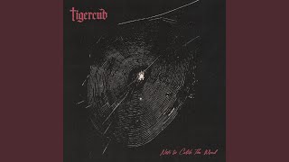 Cut The Eyes Out Of The Photographs - Tigercub