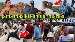 Kabutar market purani delhi jama masjid | aaj aye bhot acche ache kabutar market me. Aur bhot saste