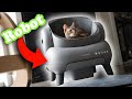 Is a robot cat toilet really worth 500