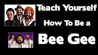 Video thumbnail of "SO FUNNY!!! - Teach Yourself  Bee Gees"