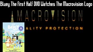 Bluey The First Half Dvd Watches The Macrovision Logo