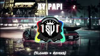 AY PAPI_Trending on TikTok (SLOWED & REVERB) SONG | SOUL VIBES #song #soulvibes