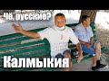 Калмыкия - КАК КАЛМЫКИ ОТНОСЯТСЯ К РУССКИМ?