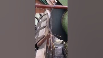 mày mài lưỡi bào nhật