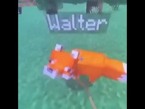Видео: fox walter