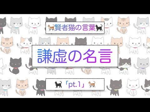 猫 謙虚の名言pt 1 賢者猫の言葉 Youtube 猫 謙虚の名言pt 1 賢者猫の言葉 Youtube