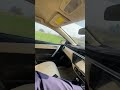 #viralvideo #trending #nature