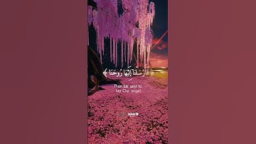 وَٱذْكُرْ فِى ٱلْكِتَـٰبِ مَرْيَمَ || القارئ شريف مصطفي #قرآن #quran  🌸