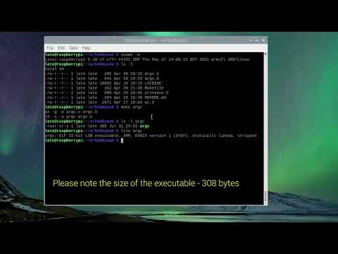 argc: my smallest project - 3 asm instructions