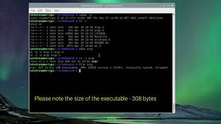 Argc My Smallest Project - 3 Asm Instructions