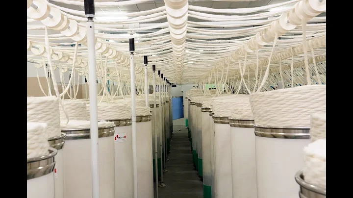 Sky Cotex India Private Limited (Spinning Mill)
