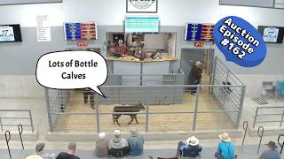 Lots Of Bottle Calves Sold On 05/12/2026