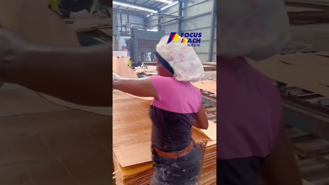 PLYWOOD GLUE SPREADER MACHINE