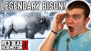 HUNTING THE LEGENDARY WHITE BISON! Red Dead Redemption Pt.20 - Kendall Gray screenshot 4