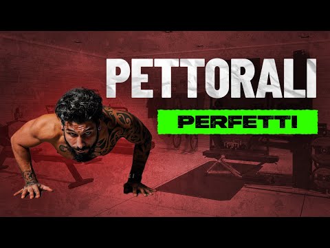PERFECT CHEST - training plan