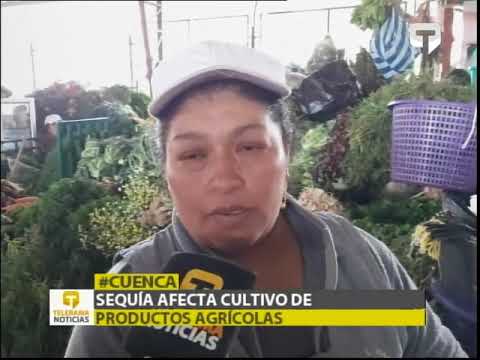 Sequía afecta cultivos de productos agrícolas