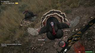 far cry 5 animal missions: judge cougar
