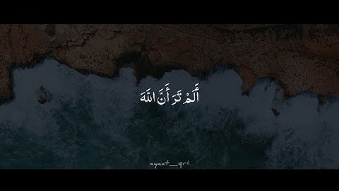 أَلَمْ تَرَ أَنَّ اللَّهَ يَعْلَمُ مَا فِي السَّمَاوَاتِ | محمد صديق المنشاوي | سورة المجادلة