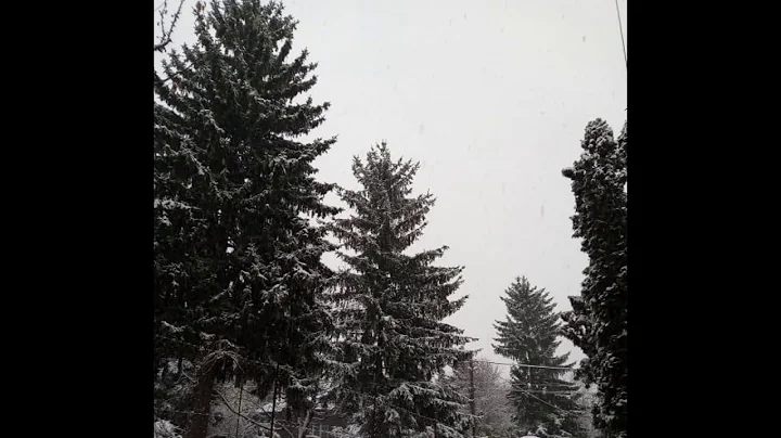 Seasons Change