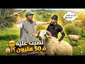 شوف شنو وقع منين سمع الخروف ساوي 50 مليون