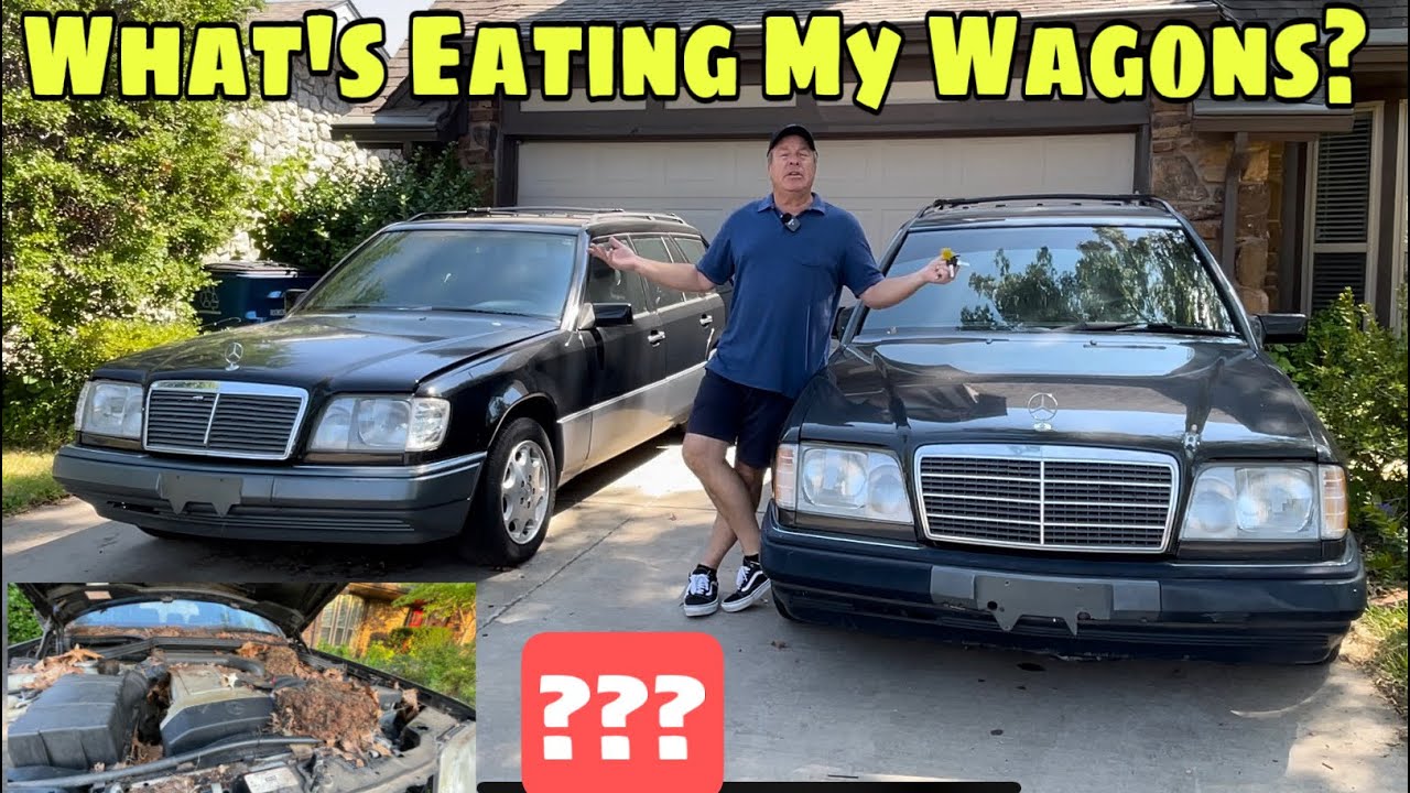 Vermin Attack!! Unbelievable Damage!! YouTube