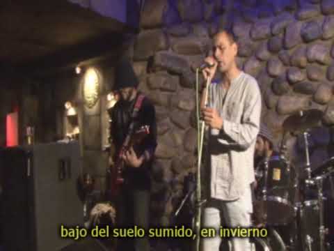 El Ultimo Cocalero 2009 - Chicheo's Funk (vivo)