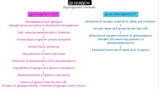 Glucagon. Chapter 79 part 4. Guyton and Hall Physiology.
