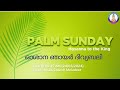     24032024  palm sunday holy mass live  syro malabar holy qurbana  0645 am