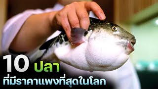 10 อันดับปลา(กินได้)ที่มีราคาแพงที่สุดในโลก