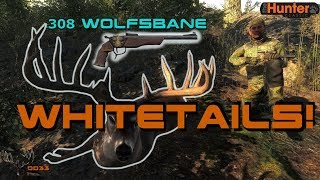 Bringing Back The MOST REALISTIC Hunting Game!! (Wall Hangers)  THEHUNTER 2018 screenshot 4