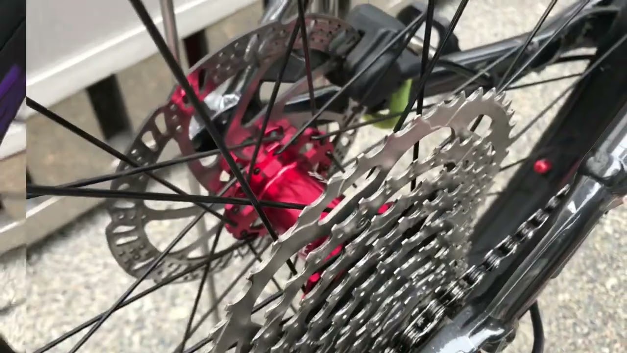 Speedone Soldier 6 Pawls versus Speedone Sniper 150T Ratchet | Battle of the HUBS ‼️ | Sound Check