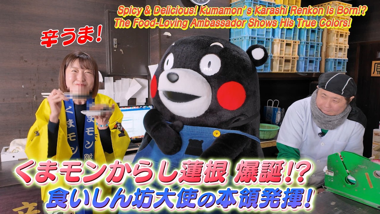 赤身 中とろ 塩すじこ 貝柱 kumamon くまモンTV ♯339 辛うま！くまモンからし蓮根爆誕！？(Kumamon TV