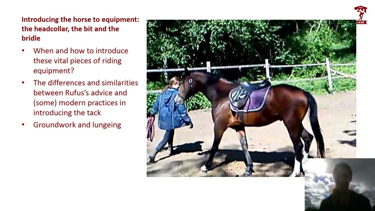 Medieval advice on horse breaking: from theory into practice