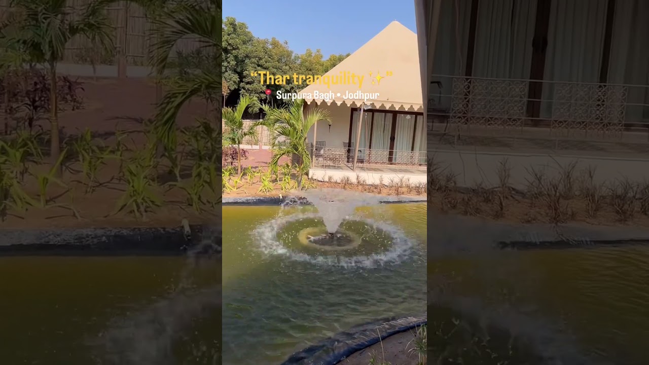 Surpura Bagh &bull; Jodhpur #shorts #trending #staycation #rajasthan #jodhpur #resort