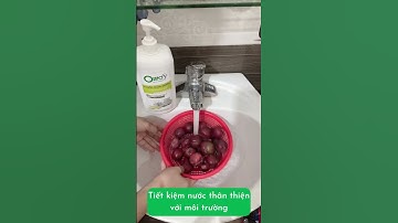 Bật mí bí quyết làm sạch chén đĩa hiệu quả với nước rửa chén Osaro