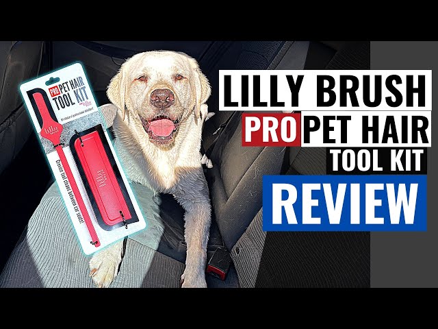 Lilly Brush Pro Pet Hair Removal Professional Car Interior