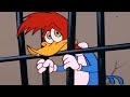 Woody Woodpecker | Woody goes to JAIL | Full Episode