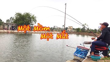 Câu Cá Rô Phi Hồ Dịch Vụ Chia Sẻ Kinh Nghiệm Cùng Các Bạn Mới Tập Câu