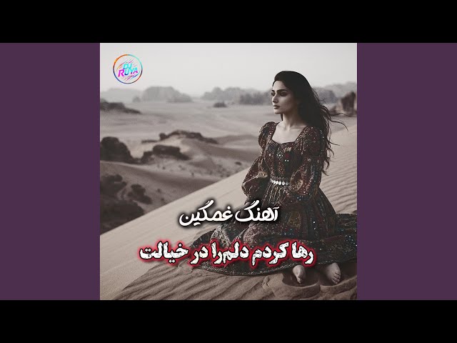 رها کردم دلم را در خیالت