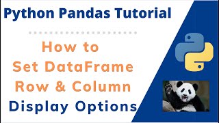 How to Show all Rows or Columns in Python Pandas Dataset